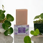 8305_sapone Fico_sfondo2